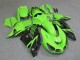 Kawasaki ZX14R ZZR 1400 2006-2011 - Verde Nero