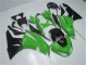 Kawasaki ZX6R 2009-2012 - Verde Nero